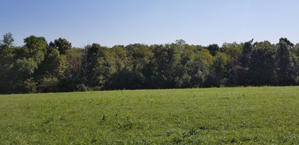 Highway Visible Land for Lease: 9646 Old Steubenville Pike, Bulger, PA 15019